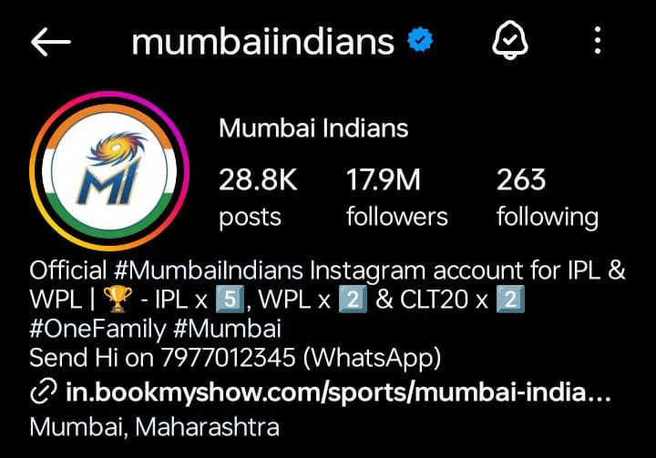 Biggest Ipl Team
